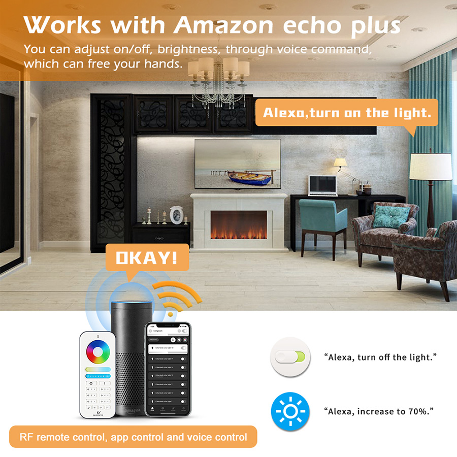 DC12-24V Zigbee Single Color 2CH Controller Compitible with Amazon Alexa, APP Voice/RF Control GL-C-009P DC12-24V Zigbee Single Color 2CH Controller Compitible with Amazon Alexa, APP Voice/RF Control GL-C-009P